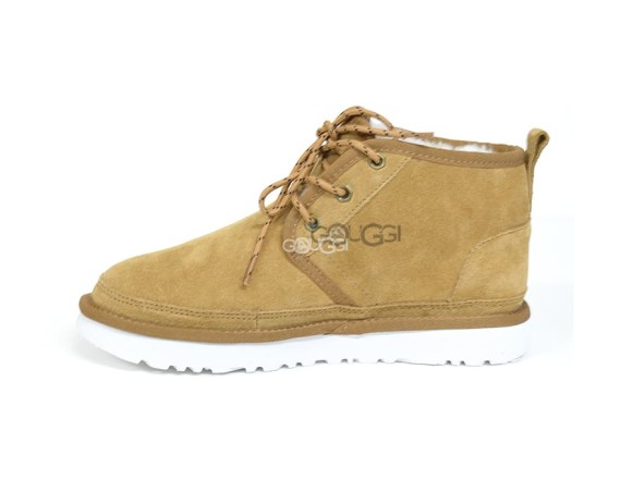 Neumel Neighborhood Chestnut