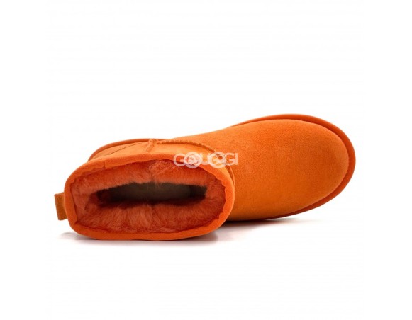 Mini California Poppy